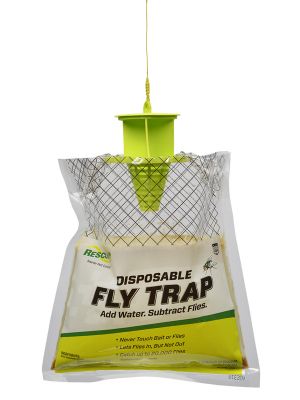 Insect bait traps