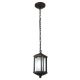 Genova Outdoor Pendant Ceiling Lamp Fixture (8846H-ORB)