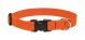 Nylon Adjustable Collar Assorted Pink / Orange 3/4in x 9in