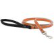 Lupine Pet Reflective Orange Diamond Nylon Dog Leash 6ft