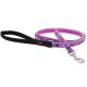 Lupine Pet Reflective Pink Paws Nylon Dog Leash 6ft