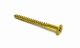 Screw Brass 10 x 2in