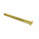 Screw Brass 10 x 3in