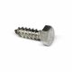 Screw Lag Hex Stainless Steel 5/16 x 1in